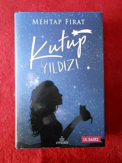Kutup Yıldızı 1