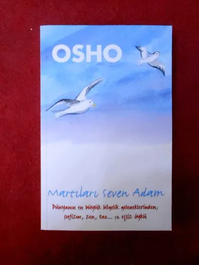 Martıları Seven Adam
