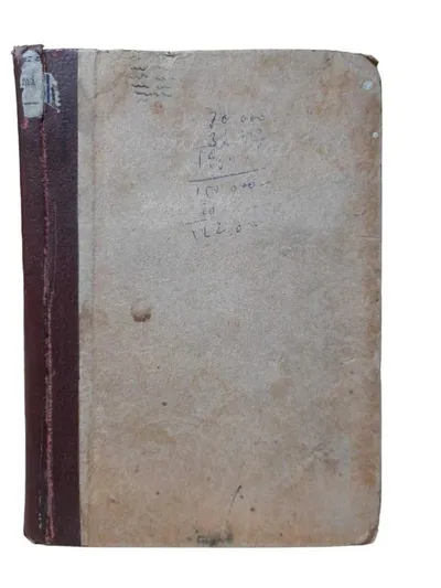 Altın Gözlü Kız