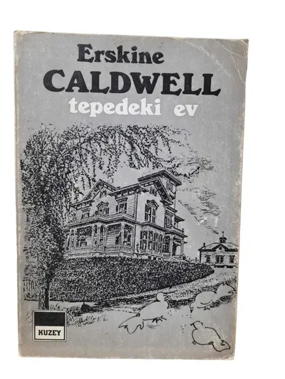 Tepedeki Ev