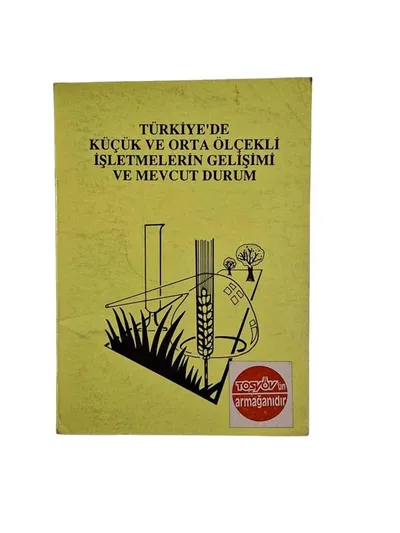 Türkiye'de Küçük ve Orta Ölçekli İşletmelerin Gelişimi ve Mevcut Durum
