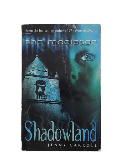 The Mediator Shadowland